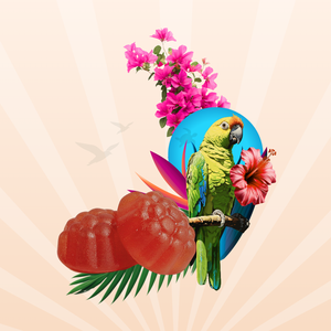 DREAMY GUMMIES