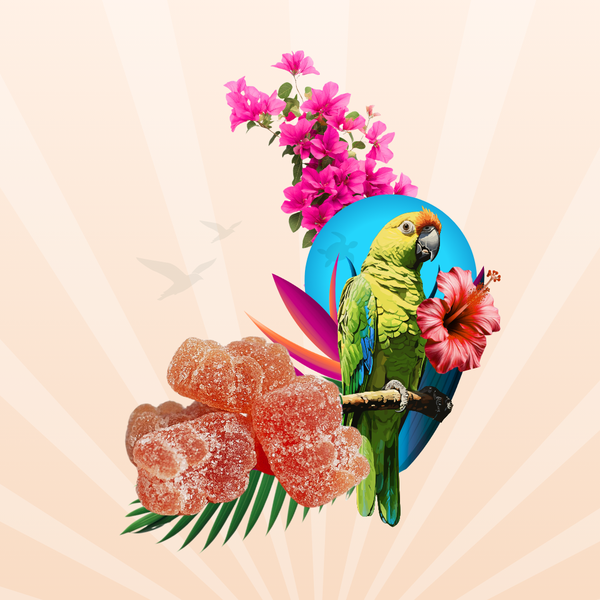 DAILY GUMMIES