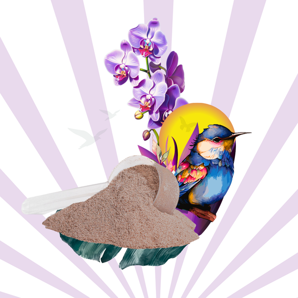 WHEY PROTEIN - CHOCOLATE
