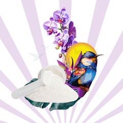 LaLola Beauty Powder (Unflavored)