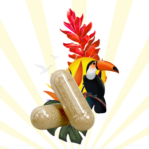 BERBERINE PLUS