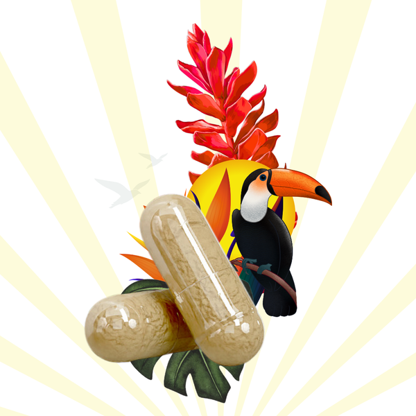 BERBERINE PLUS