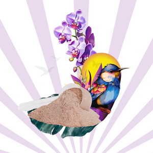 COLLAGEN PEPTIDE - CHOCOLATE