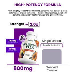 Berberine Plus supplement bottle with text about high-potency formula on a white background