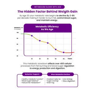 Graph showing metabolic efficiency decline with age and text about metabolism slowing with age.