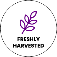 Icono de la marquesina